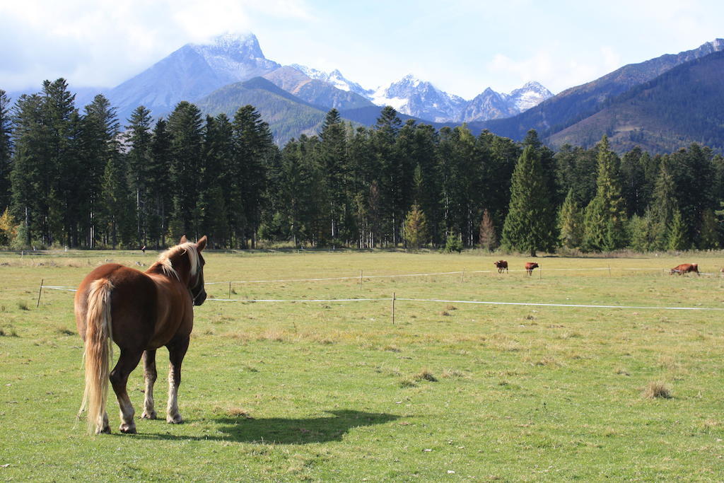 Penzion Koliba Vysoké Tatry Exterior foto